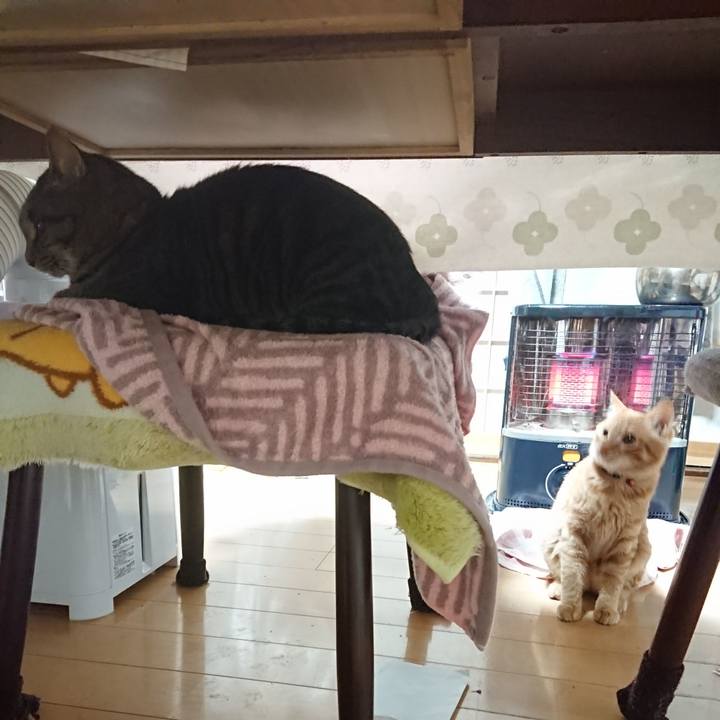 4180d19c 2118 4e38 9d81 8b10a86e6489 1636839167491