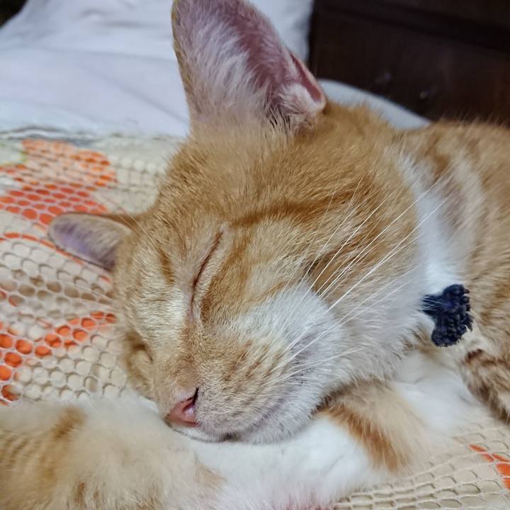 4180f5df acf0 4d70 946b 478fa86ad61a 1568293756507