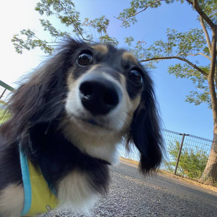 41813898 bc35 4572 875f 0afae980d97d 1691276206660