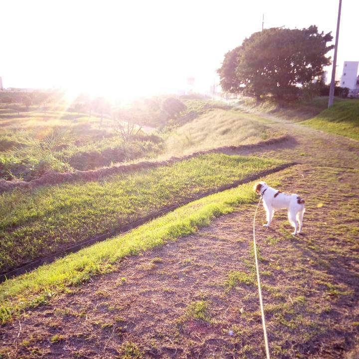 41814052 8e4f 44cf ad93 08ba5add965d 1510488844211