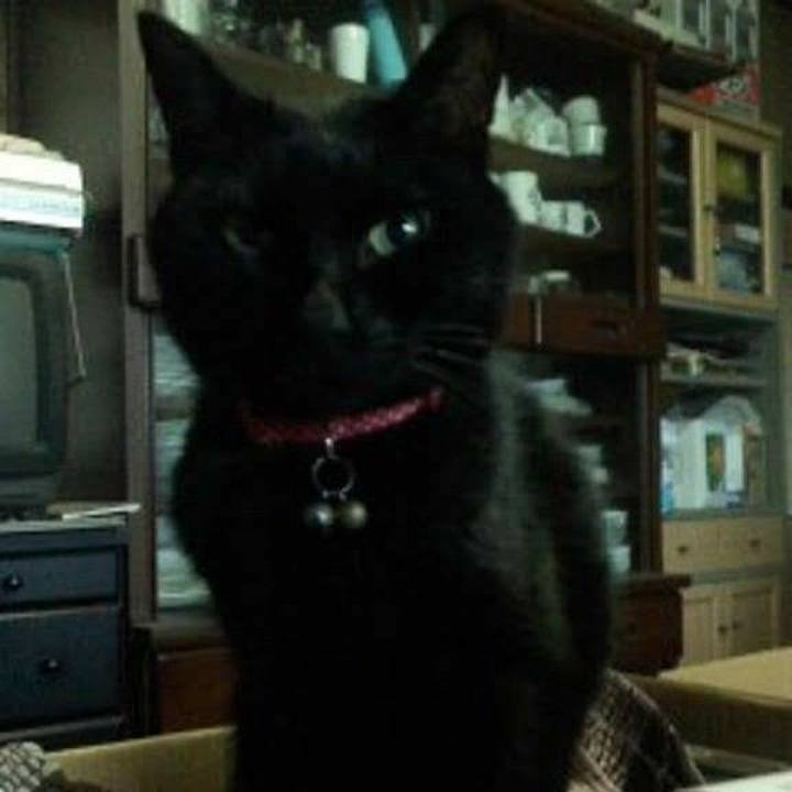 41816d4e d792 4619 975b 2c7b0fdee3d7 1599770031942