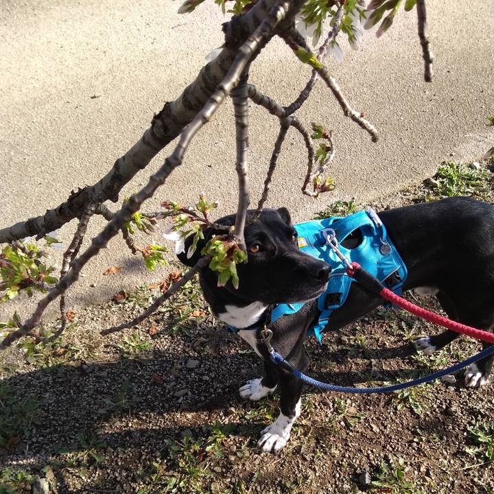 418182f7 d93b 4787 b520 f744fcb15584 1616756987890