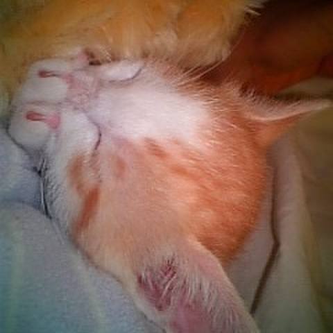 4181a356 d742 4ea1 8a73 e0441092ec81 1680028250701