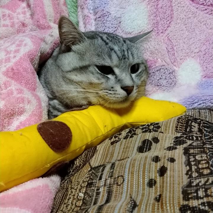 4181c05b 964a 4d7c b0e6 1dc1d30a92b2 1605255374019