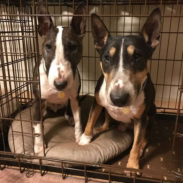 4181f82b 8dfe 45d2 82da a5fb44d57d7d 1518178406001