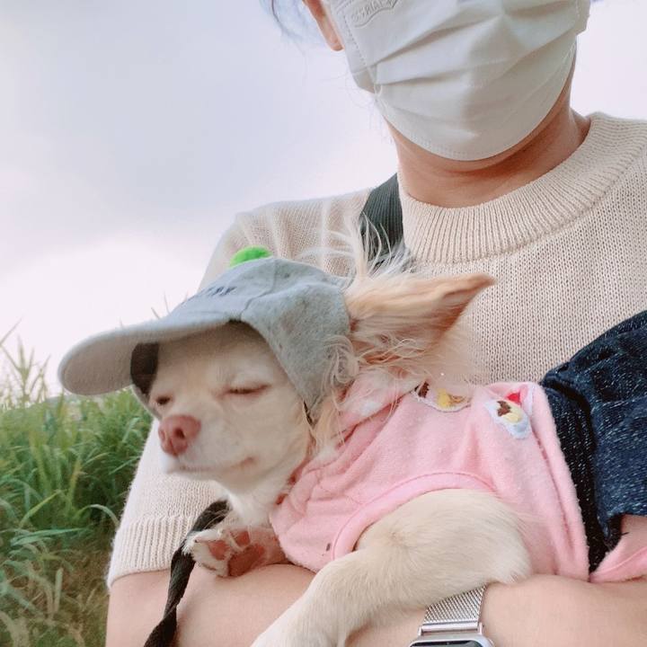 41820261 7845 46a0 9eae 18c8c1cafeed 1623747637470