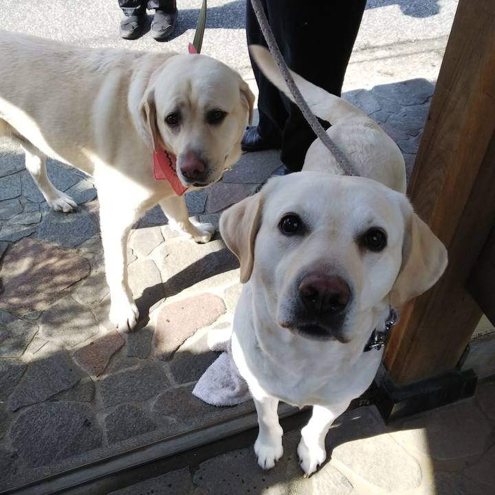 41821602 f48c 49d7 8f76 3e02c89b9ce5 1583028861400