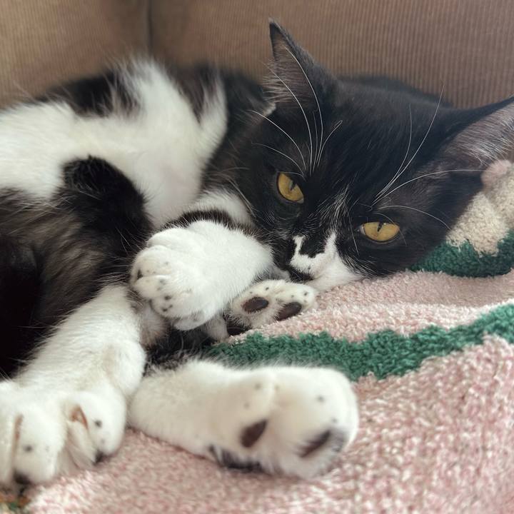 41828630 8e6e 4845 893a d72f971c2d68 1767759510639