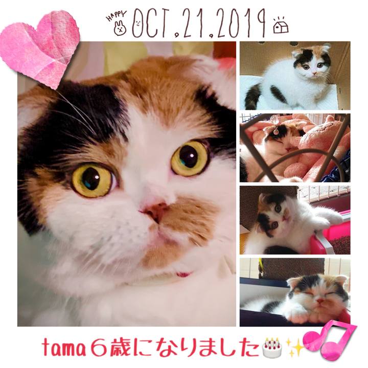 4182863d 9a1b 488a 8912 6d6de6b59153 1571615980006