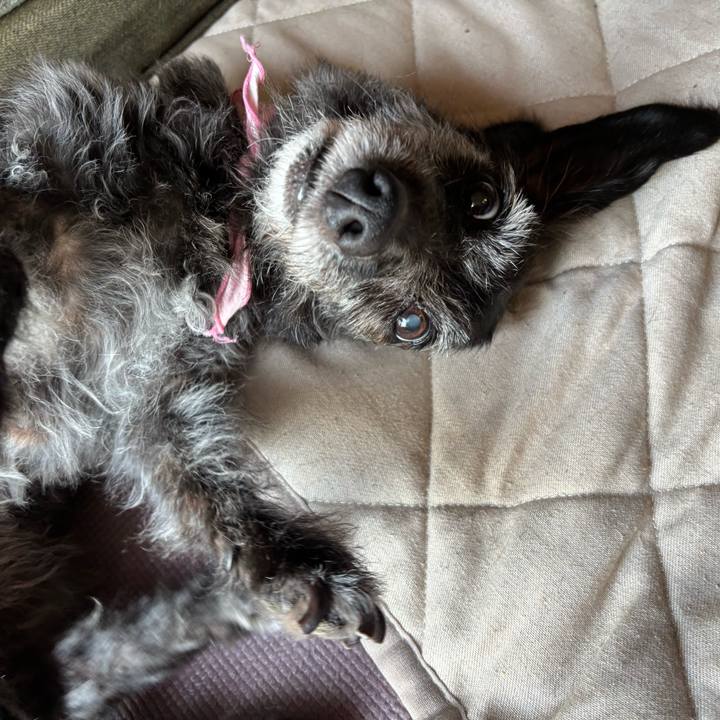 41828c32 23e0 4792 8390 8918da13b7c4 1756940900314