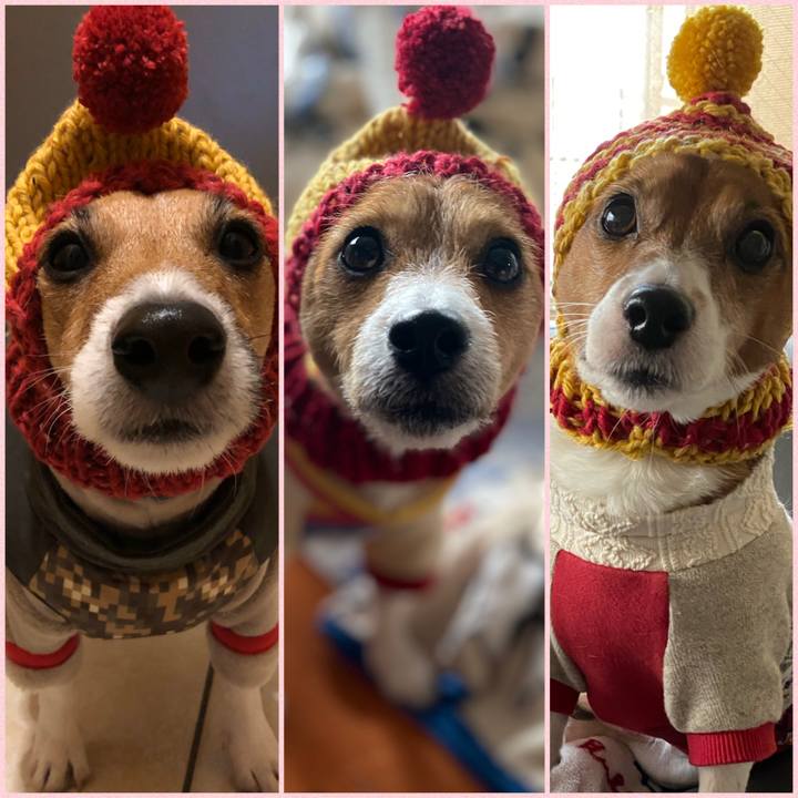 4182c3a2 fd1d 4419 ae72 597b257974be 1581165064816