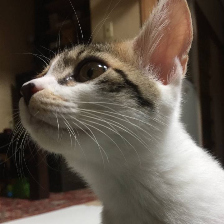 4183044d 87fa 45e9 bcb3 b462ef57f9c6 1635505309012