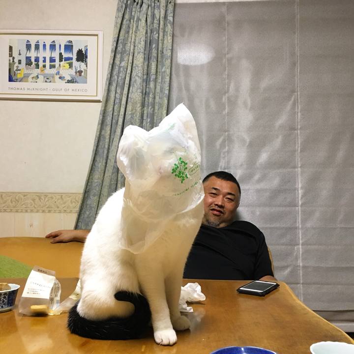 418306a5 305a 4212 adfd 3c322b5ef7f7 1514467971347