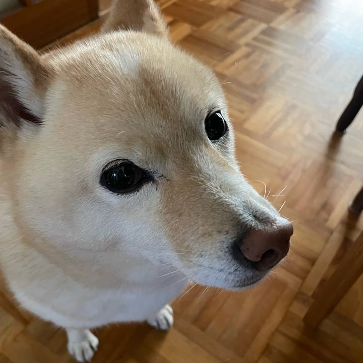 41834769 778e 45ae b446 8050aa593e09 1696978852180