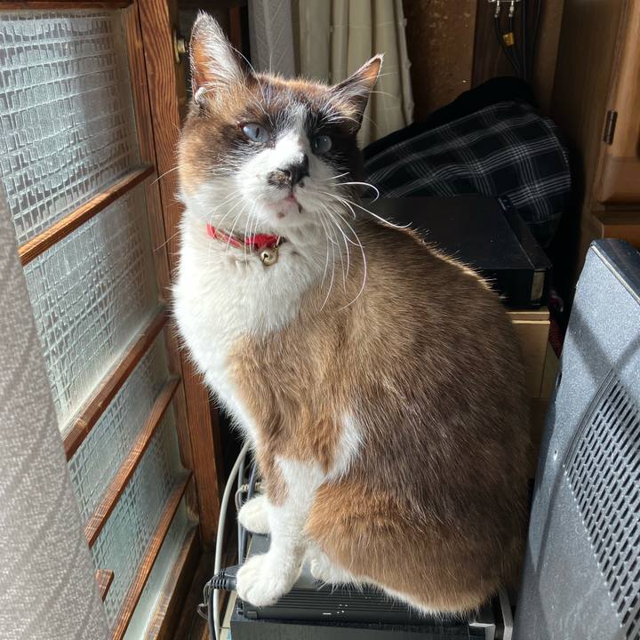 4183a839 087b 40ce 8033 6a3f1baa0478 1741327682573