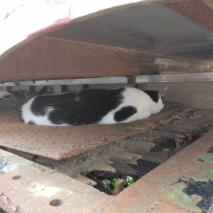 4183c4f6 d3b3 4d46 afb2 d53109016c9c 1720235446934