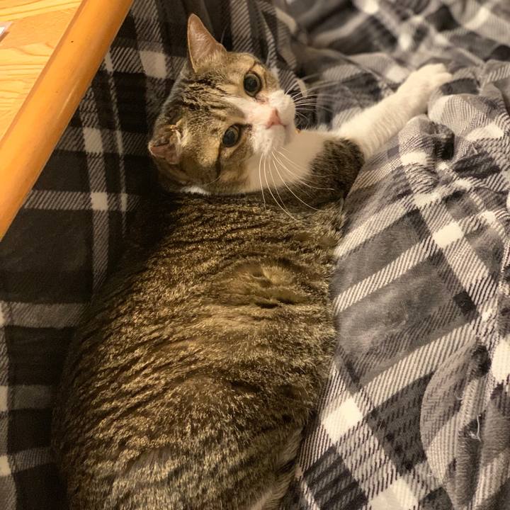 4183d251 634f 4afc b0cd a04c047eec1a 1704964881778