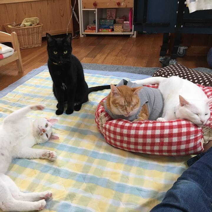 41841b14 b2d2 4eb5 a51d 22e915f9c3ad 1525338100711