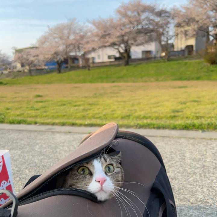 41844ab8 9924 456f 989a 0e24c3a9a582 1744538815180