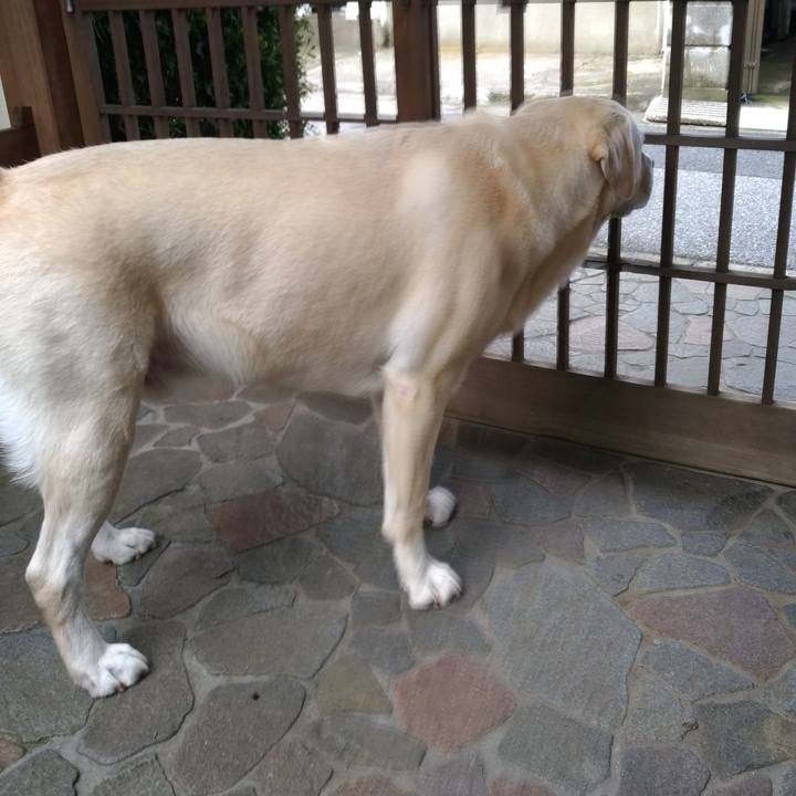 418473fa fef8 438b bae9 38e4770d4d51 1568848495037