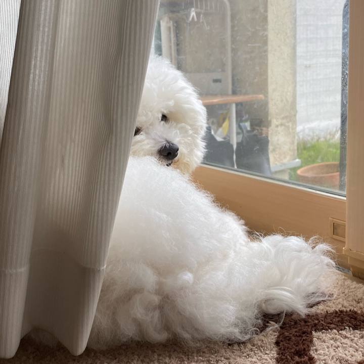 4184b780 347d 4e93 aa38 64038bab0d51 1656144000660