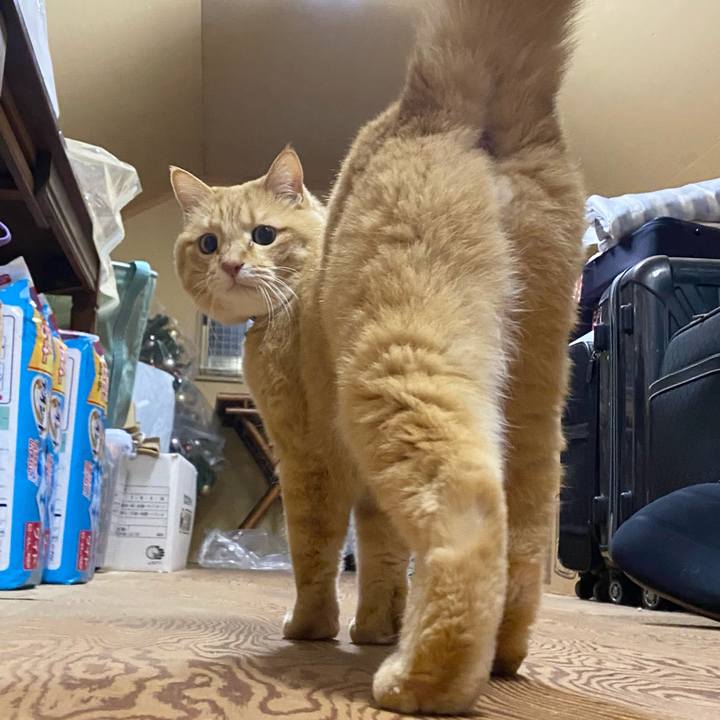 4184ec27 b0d5 4a49 8d8d 1ea162127382 1643629624991