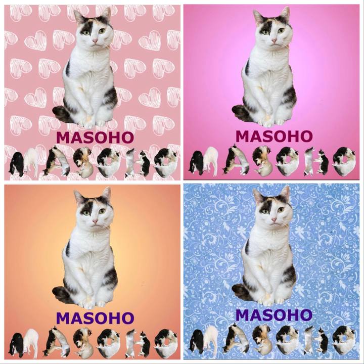 4184fa30 0305 4a84 a2ac 5238b1aea177 1668944130231