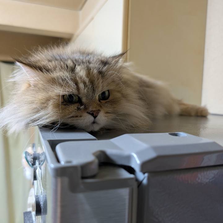 4185759f 6ee3 4edd ae38 c4c7ef87817b 1740663298255