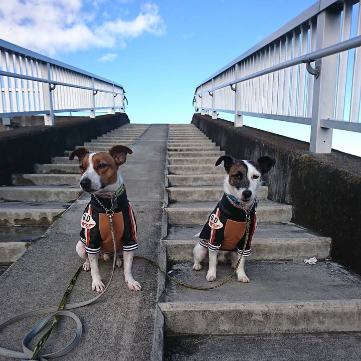 41857f20 b0eb 4f44 a65e c3dbc27721b4 1577411013197