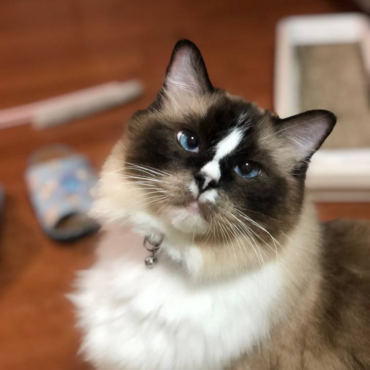 41859b9f 06cf 45b1 aee9 1ab63f707ebd 1638001705865