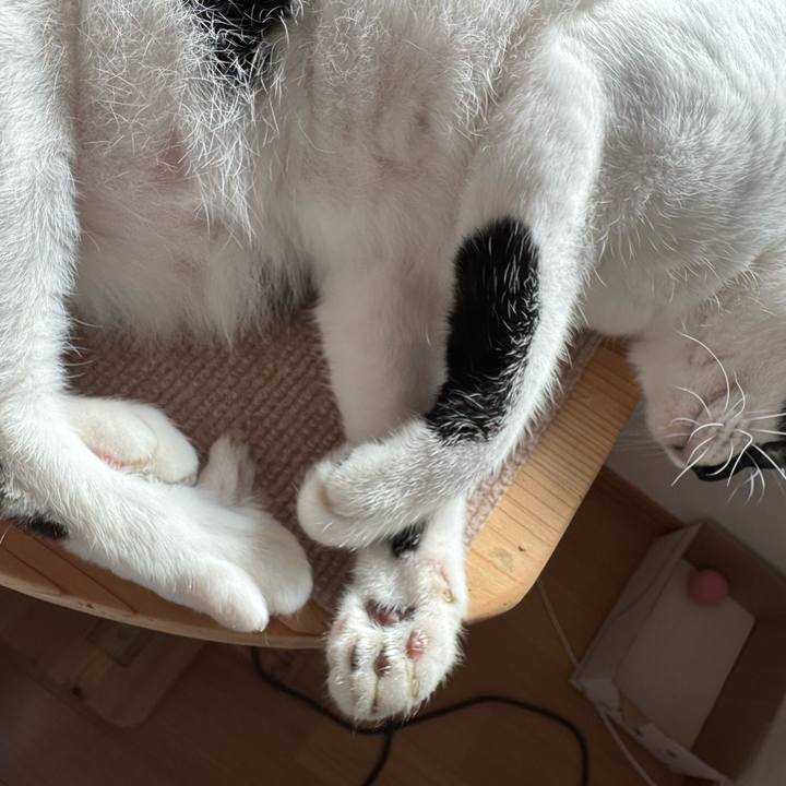 4185ce0e a13e 4f9a b7e6 330e24f59c6b 1758853901696