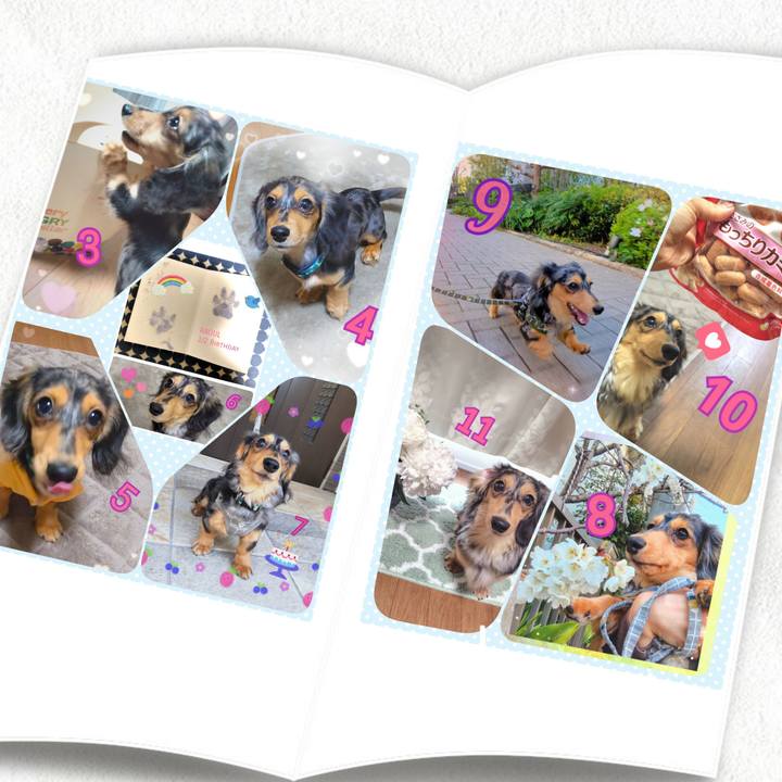 41861e01 0741 49c5 951d c6485c7cb328 1721124281185