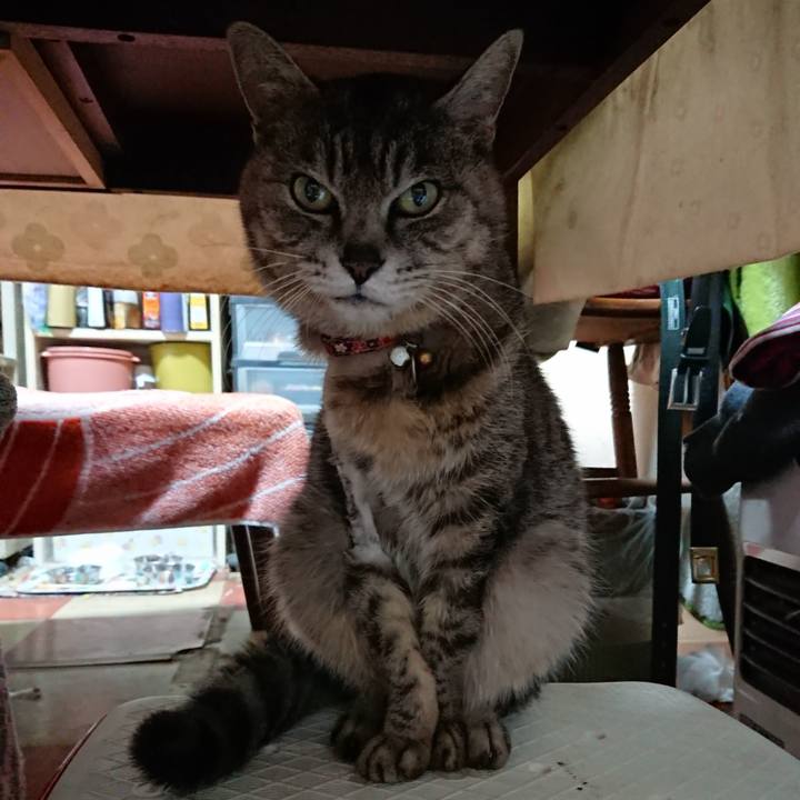 41863a2f d654 451b 9d4e 9d30506a119b 1589663751296