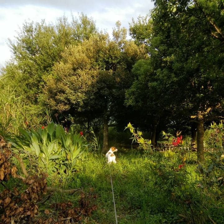 41864b2b dffb 4ea3 84fb a031401369dd 1536666332390