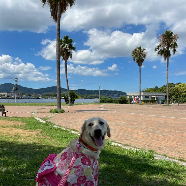 4186841d 432a 44d7 aa1d 785b54d331c2 1628313754901