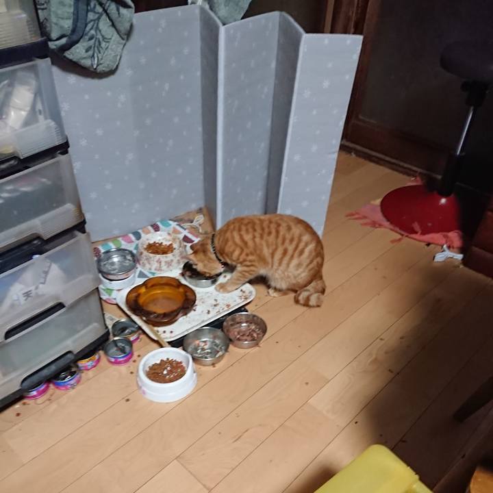 418689f3 09b3 4ca2 89c6 8d91f9ce0607 1642800295011