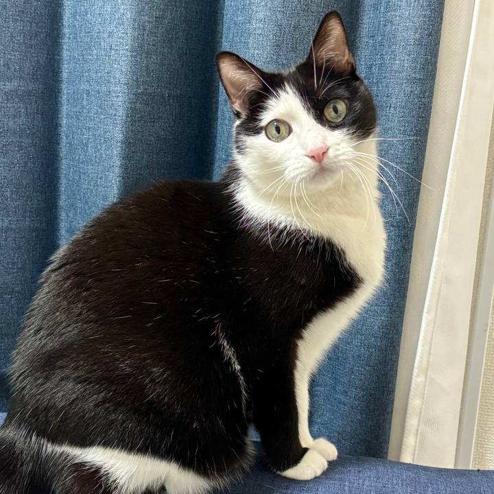 4186910e e87d 4e3b 8606 14fc680132ec 1742607996226