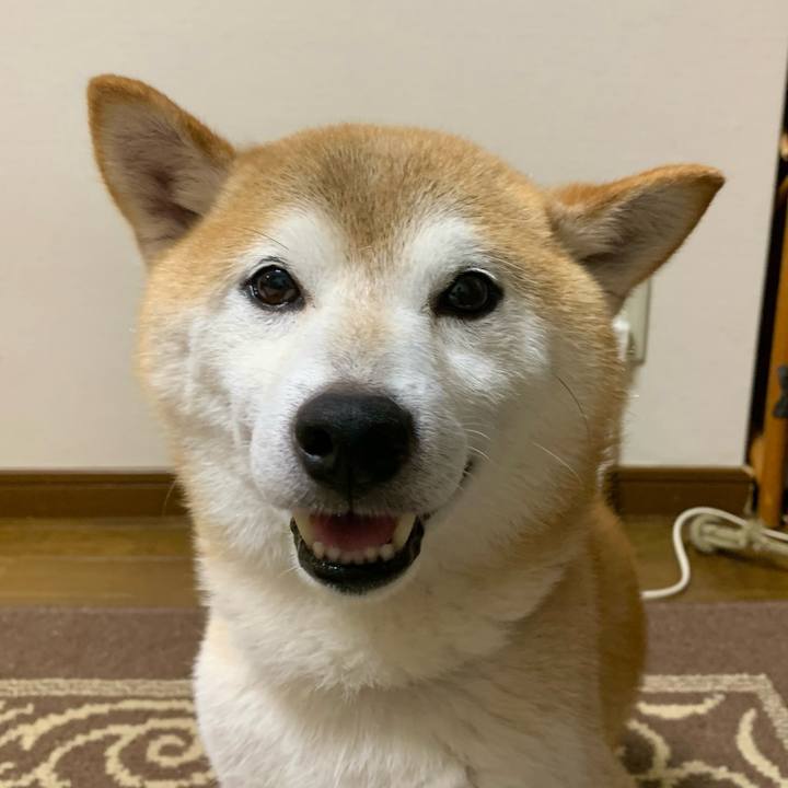 4186c17d f365 47e8 88ef 5ade3cc3b140 1691319989426