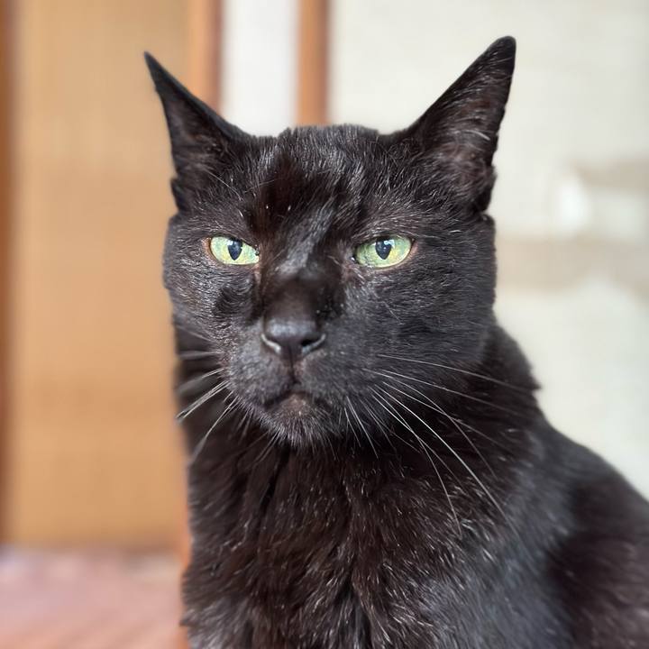 4186cdc6 8e77 4b95 9d05 fac9435bfd12 1688087834548