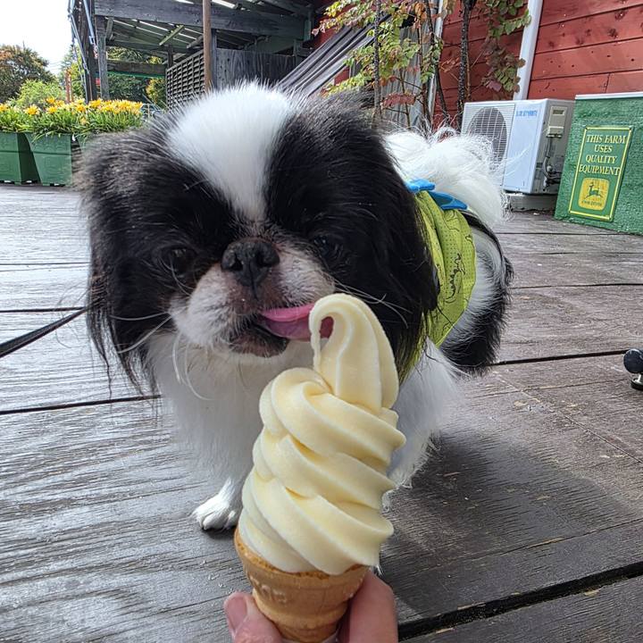 4186e386 7223 4298 84a4 a7ba150f79f1 1760189118650