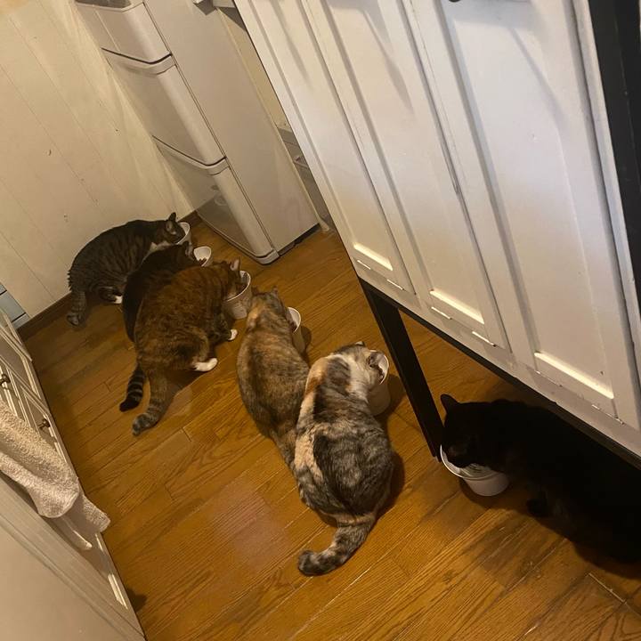 4186f767 6e9e 493f 9a77 2e27ecdc72ab 1732407225901