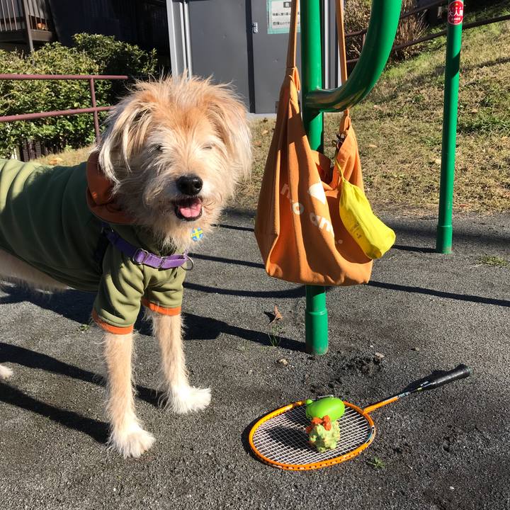 41875777 de41 498a b1f5 52117d3086fe 1575031294765