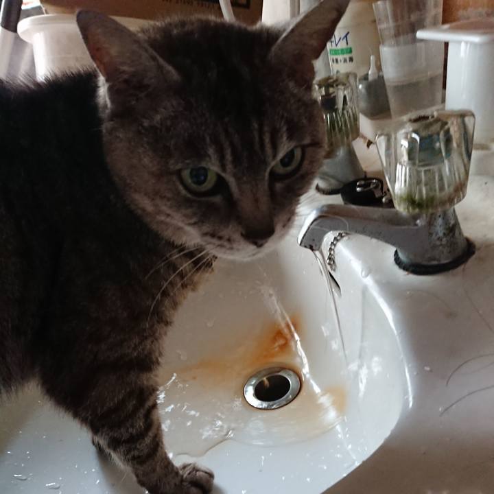 418792a8 4eb5 4329 bb28 59f5ec7fe0f1 1563744585263