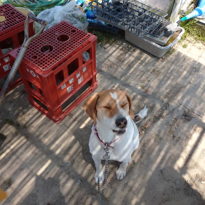 418801af bc6e 46b7 af22 d8457d7eef8e 1588319496714