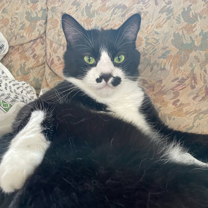 41880786 59f3 4622 a0ff 26b05b968bcf 1751866879321