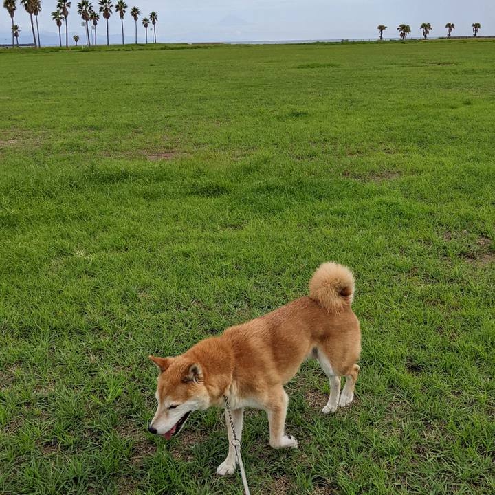 41880823 b5a7 4e52 bd1e 1ed3342ccbdc 1693445031160