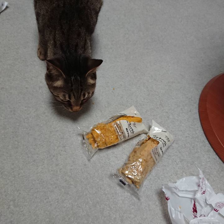 41881037 b54f 4dcd b458 aafd6c856349 1555232467463