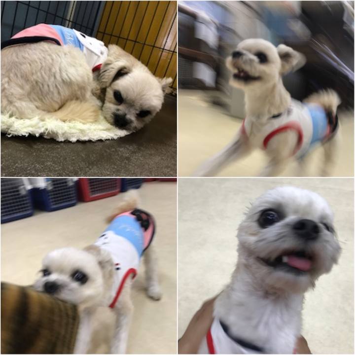 41881585 bcce 4ec3 976f fda9b05c5d51 1526382264196