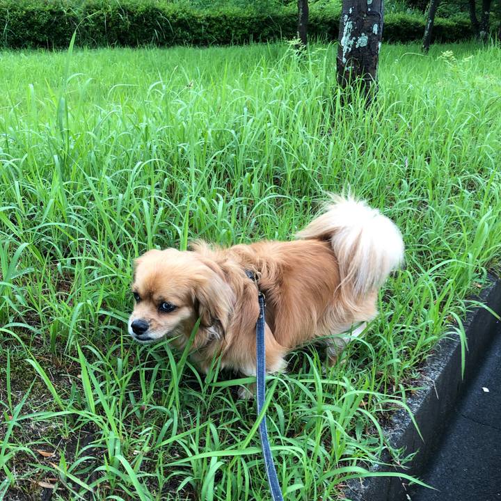 41882360 66fe 4d7e 98eb 11e8acf2cafc 1561673491583