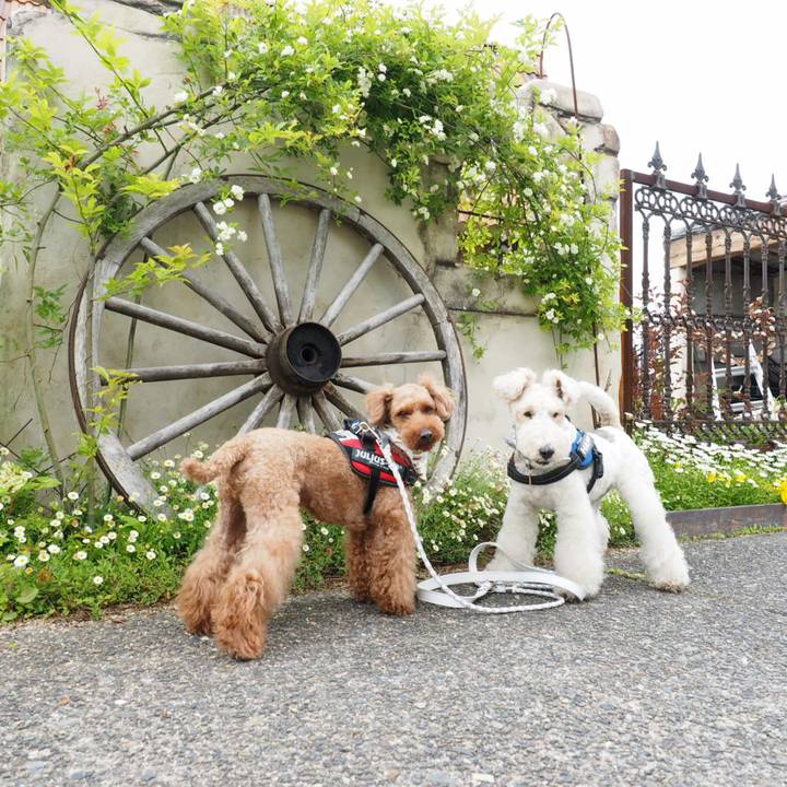 4188307f d798 4efd 8697 cfe0bd16fa35 1558360892195